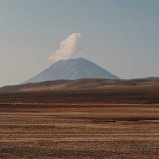 A puff of cloud rises from the flat top of the Misti Volcano near Arequipa, seen over straited bronze and brown grasslands.