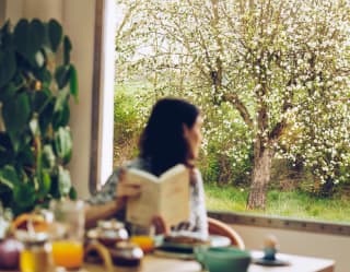 At an inside breakfast table, a woman with a book gazes back through a window looking onto blossoming trees, in soft-focus.