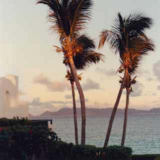 The rocky headland of Maundays Bay seen from the west end of the beach through four, tall palms, aglow in rosy sunset light.