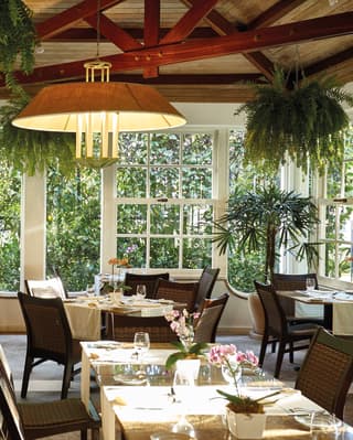 Stylish grill restaurant with hanging plants from wooden ceiling beams