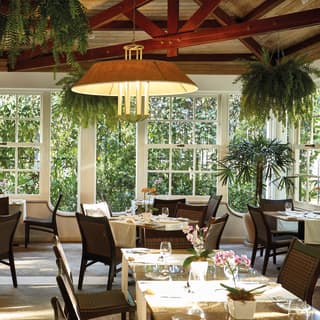 Stylish grill restaurant with hanging plants from wooden ceiling beams