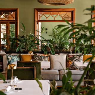 View through Y Restaurant with tables and sofa seating with botanical-print cushions, complementing a jungle of plants.