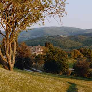 View from the top of a grassy hill, past a large tree, down to Castello di Casole, nestled in woods and Tuscan countryside.