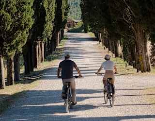 A man and woman cycle down a gravel road flanked by lines of tall cypress trees which cast long shadows, seen from behind.