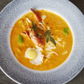 Birds-eye-view of a lobster soup in a white circular soup dish