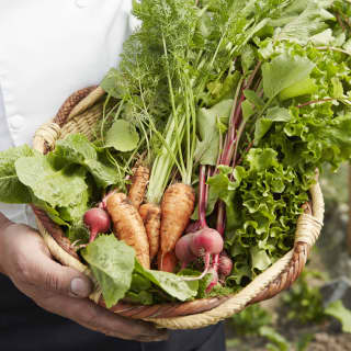 Close-up of a basket of freshly picked carrots and radishes