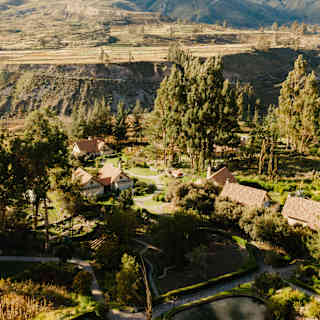 View over Las Casitas, with terracotta-roofed residences nestled among tall trees and gardens, with the canyon rising behind.