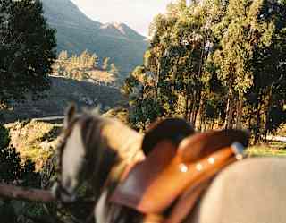 Peruvian Paso Horse Riding, Peru