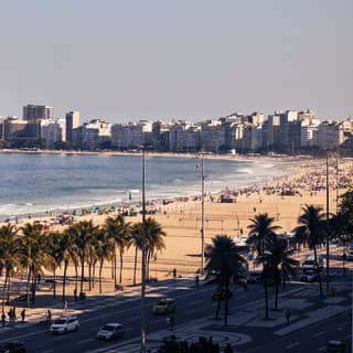 Picturesque shot of the beach, the sea and palm trees along the road