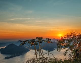 View of sunset from Rio's iconic Sugarloaf mountain, through lush foliage