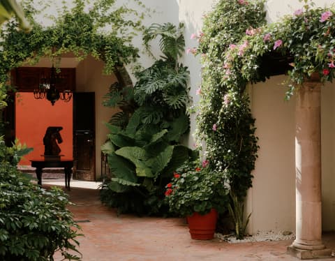 Shot of Casa Caballo's exterior, with white walls, tiled passages and arches dripping with giant monstera, alocasia and ivy.