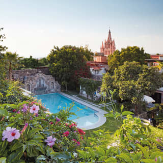 Delicate pink and red flowers in climbing wall plants with an outdoor pool beyond in a courtyard garden
