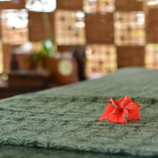 Close-up of a burnt orange coloured hibiscus flower on a green patterned throw