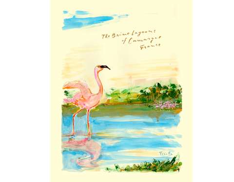 Painting by Andrea Ferolla of a pink flamingo wading in wetlands in an image entitled the Brine Lagoons of Camargue, France.
