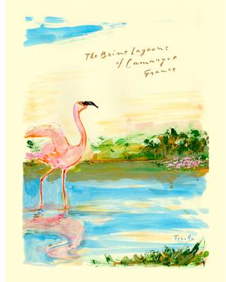 Painting by Andrea Ferolla of a pink flamingo wading in wetlands in an image entitled the Brine Lagoons of Camargue, France.