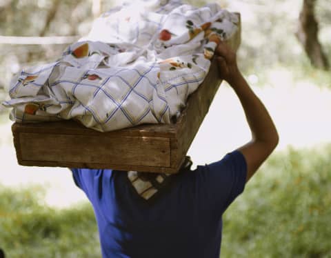 Walking through trees, a woman in a blue shirt carries a wooden box on her head containing her harvest, covered with cloth.