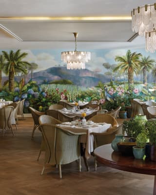 Bistro with Table Mountain wall mural, modern chandeliers and palm plants