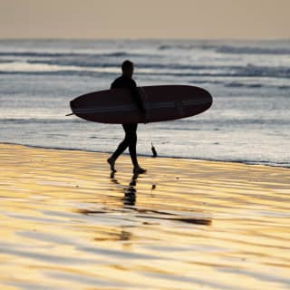 A surfer carrying his board is silhouetted against the sea and mountains as he walks on a beach rippling with golden light.