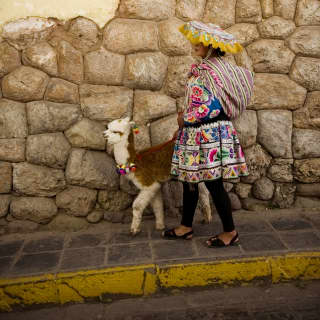 A lady wearing traditional clothing, standing near an alpaca in Cusco