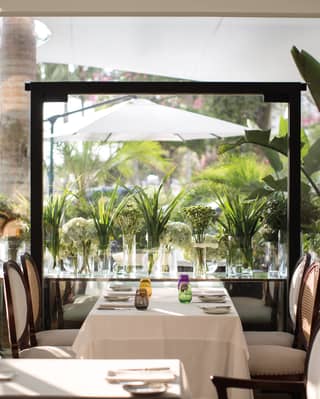 Bright restaurant with potted palms and a glass wall with gardens beyond