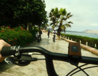 Cyclist's view over bicycle handlebars of the smooth boardwalk with lush gardens on the left and the ocean on the right.