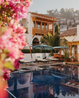 Diagonal eye-level view over the still pool, where three sun-loungers recline under a parasol, part-obscured by pink blooms.
