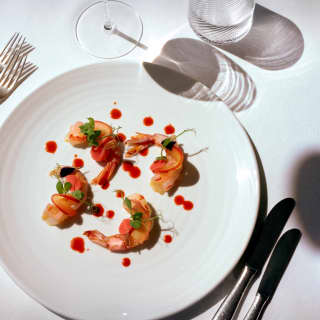Four prawns with peach, radish, pickled shallot, watermelon and strawberry gazpacho, on a white plate, seen from above.