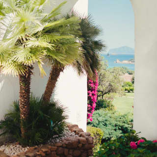 Two bushy dwarf fan palms burst from a rocky raised plant bed by an archway view of lush gardens and dazzling sea.