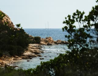 Looking through dense foliage to a section of a small bay fringed with striated rocky formations, and a view out to sea.