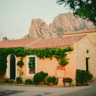 A green vine adds vibrancy to a soft-peach rendered building with a terracotta roof and a backdrop of dry rocky peaks.