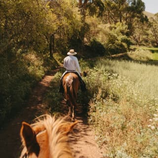 Photo of a man in a long-sleeve shirt and hat riding a horse between trees and meadow, taken from behind on horseback.