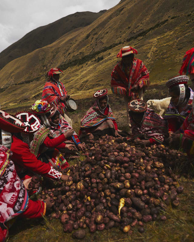 Dressed in traditional weaves, local men and women sit around a mound of potatoes, harvested as an offering to Pachamama.