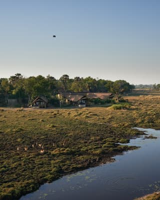 Safari lodges nestled among trees on a lush grassy plain next to a river delta