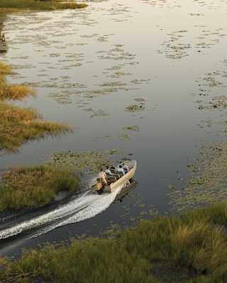 Aerial view of a motorised safari boat zipping across a river delta