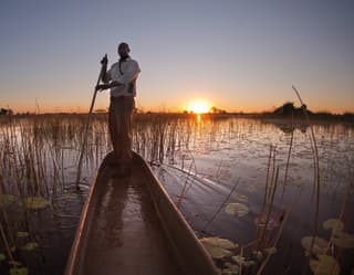 Guide standing on the edge of a mokoro canoe sailing on a river at sunrise