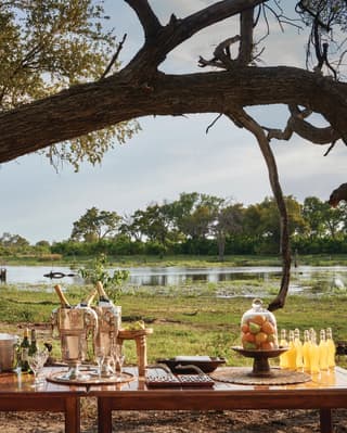 Banquet table with champagne overlooking a savannah watering hole