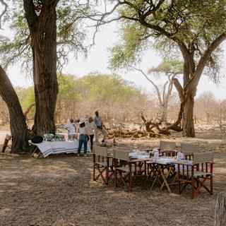 Guests and staff chat by a service table in the shade of a tall tree, with fold-out tables and chairs nearby for a bush meal.
