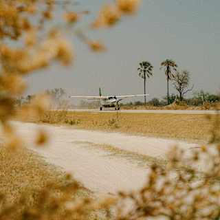A single-engine Cessna two-zero-eight Caravan plane sits on a dry dirt runway, viewed through the branches of trees.
