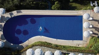 A lone swimmer dives into a deserted pool, it's white stone edge peppered with white parasols and lined with lush plants