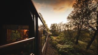 View down the outside of the carriages, with a glimpse of the warm-lit interior as the train travels through evening forest.