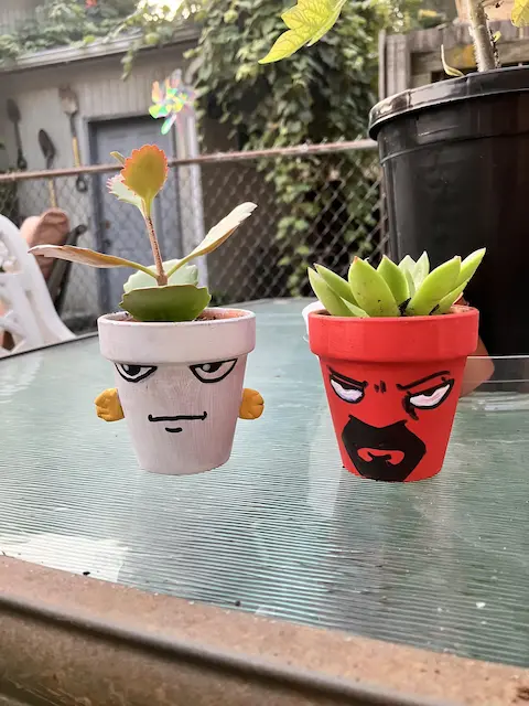 Funny Flower Pots